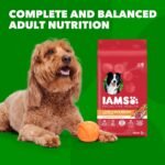 IAMS Minichunks Adult Dry Dog Food Lamb & Rice Recipe Dog Kibble, 30 lb. Bag - Image 7