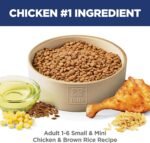 Hill's Science Diet Small & Mini, Adult 1-6, Small & Mini Breeds Premium Nutrition, Dry Dog Food, Chicken & Brown Rice, 15.5 lb Bag - Image 3