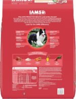 IAMS Minichunks Adult Dry Dog Food Lamb & Rice Recipe Dog Kibble, 30 lb. Bag - Image 2