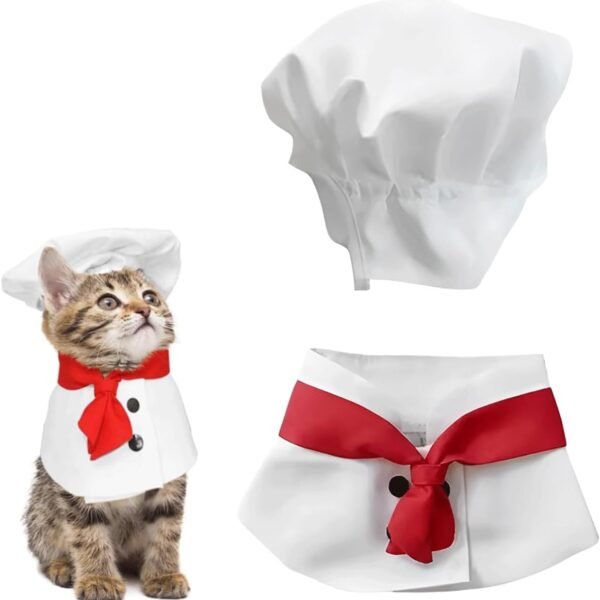 Clothing & Accessories