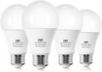 LED Light Bulbs