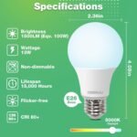 A19 LED Light Bulbs, 60 Watt Equivalent LED Bulbs, Daylight 5000K, 800 Lumens, E26 Standard Base, Non-Dimmable, 8.5W Warm White LED Bulbs for Bedroom Living Room,3 Pack - Image 3