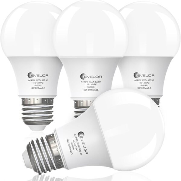 LED Light Bulbs