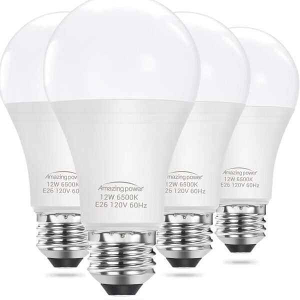 LED Light Bulbs