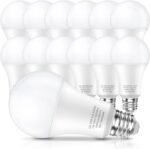 LED Light Bulbs