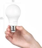 Amazon Basics A19 Dusk to Dawn Sensor LED Outdoor Light Bulb, 60W Equivalent, Energy-Efficient 9W, Daylight 5000K, E26 Base, 10,000 Hours, 2 Count (Pack of 1) - Image 5