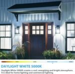 4-Pack A19 LED Light Bulbs, 100W Equivalent LED Bulb, 5000K 1100Lumen Light Bulb 11W, Non-Dimmable E26 Frosted Lighting, CRI 85+, No Flicker - Image 4