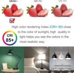 A19 LED Light Bulb - 60 Watt Equivalent, Daylight White 6000K, 800 Lumens 10W LED Bulbs Bright, Non-dimmable, 6-Pack - Image 3