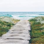 AERA Smart Home Fragrance Diffuser and Beach House Scent Refill Bundle - Alexa Compatible, Hypoallergenic, Family and Pet Safe, App Controlled - Image 4