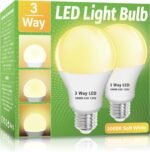 LED Light Bulbs