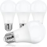 LED Light Bulbs