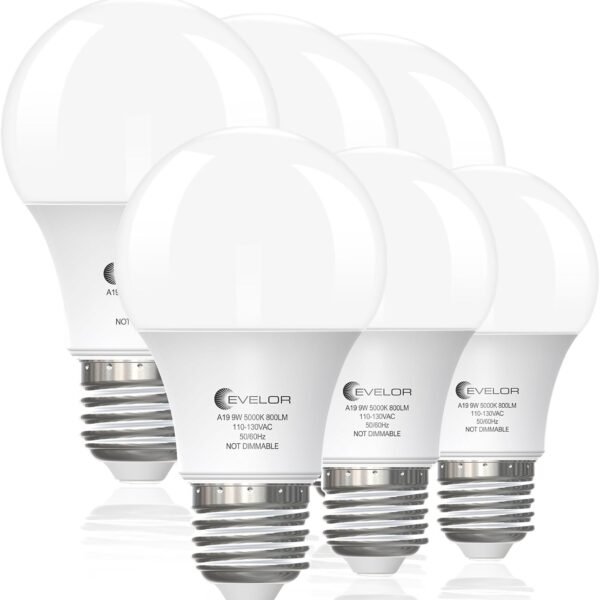LED Light Bulbs