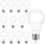 LED Light Bulbs