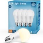 LED Light Bulbs