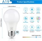 A19 LED Light Bulbs, 60 Watt Equivalent LED Bulb, Daylight White 5000K, 850 Lumen, E26 Base, Non-Dimmable, 9W Bright White LED Bulb, 4-Pack - Image 2
