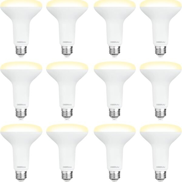 LED Light Bulbs