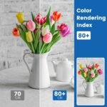 A19 8-Pack LED Light Bulbs, E26 Base 75W Equivalent 1000lumens 5000K Daylight, Cool White Non-Dimmable 9W 120V 25000Hrs Indoor UL (A19 Count of 8) - Image 5