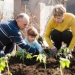 1,500+ Tomato Seeds, Heirloom Vegetable Seed for Planting Indoor Outdoor, 10 Varieties Salad Tomato Seeds Garden Hydroponic Kit, Non-GMO Home Hydroponic Fresh Food Veggie Supply - Image 8