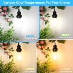 4-Pack Vintage Edison LED Bulbs, 60W Equivalent, 850LM 6W Edison Light Bulb Daylight White 5000K, ST58 LED Filament Bulb E26 Base, Non-Dimmable - Image 3