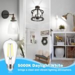 4-Pack Vintage Edison LED Bulbs, 60W Equivalent, 850LM 6W Edison Light Bulb Daylight White 5000K, ST58 LED Filament Bulb E26 Base, Non-Dimmable - Image 4