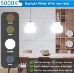 A21 LED Light Bulbs, 150 Watt Equivalent LED Bulb, Daylight White 5000K, 2600LM, E26 Base, Non-Dimmable, 19W Bright White LED Bulb, 4-Pack - Image 3