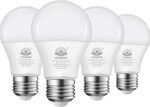 LED Light Bulbs
