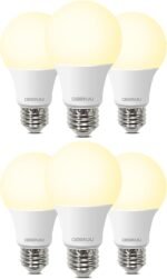 LED Light Bulbs