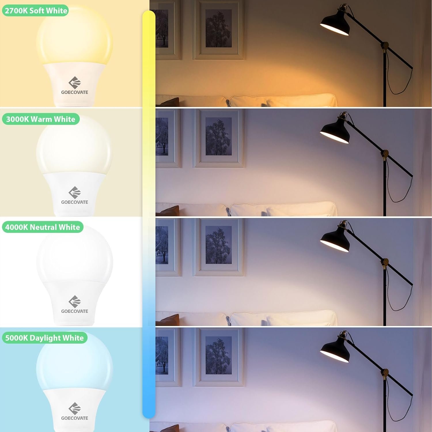 24 Pack 8W Daylight Light Bulbs White 5000K, 60 Watt Equivalent Non-Dimmable Led Bulbs, A19 Standard Bulbs, E26 Base, 800 LM, Efficient 8 Watt Light Bulbs for Living Room, ETL/UL Listed - Image 3