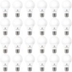 LED Light Bulbs