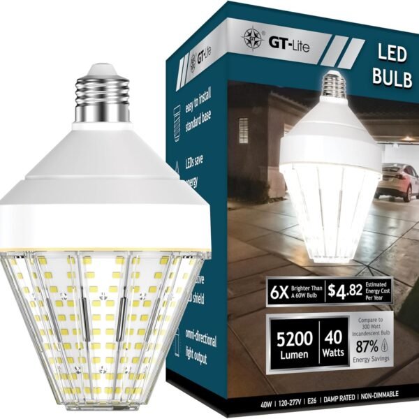 LED Light Bulbs